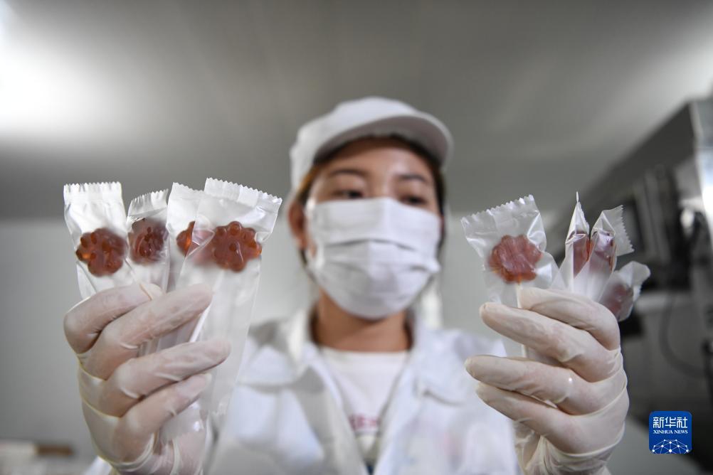 新开捕鱼网站